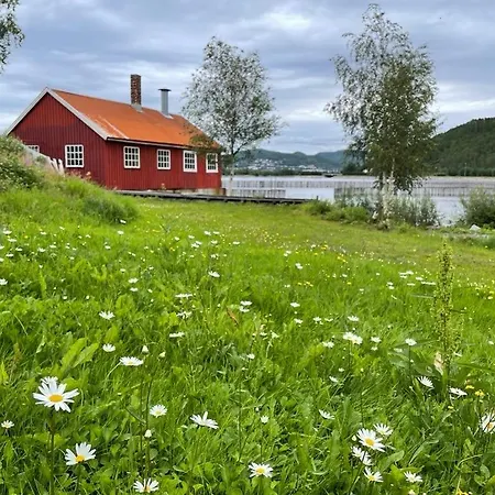 Stille Og Landlig, Men Sentrumsnaer Leilighet
